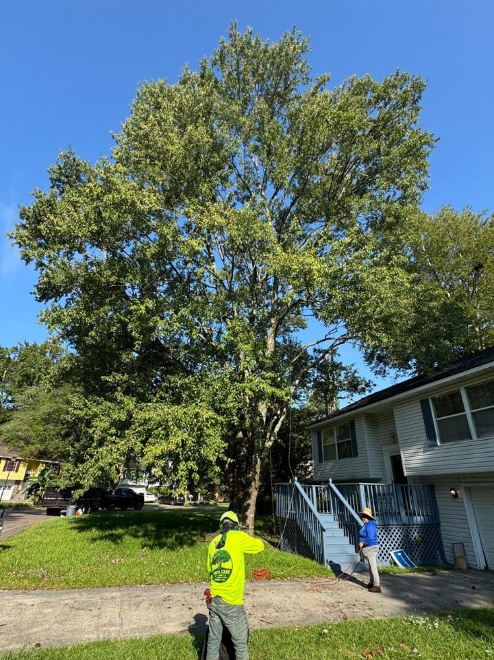 Lion Tree Service and Landscaping LLC project photo 10